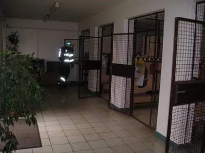 Foto 50