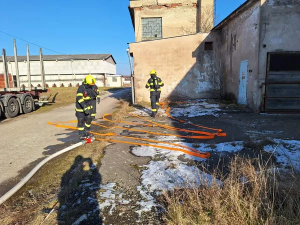 Foto 4