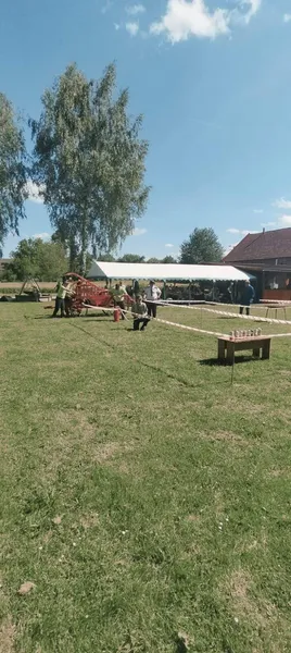 Foto 2