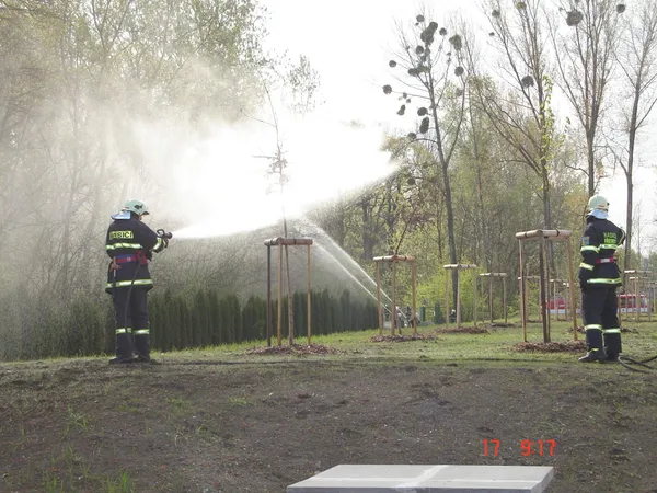 Foto 6