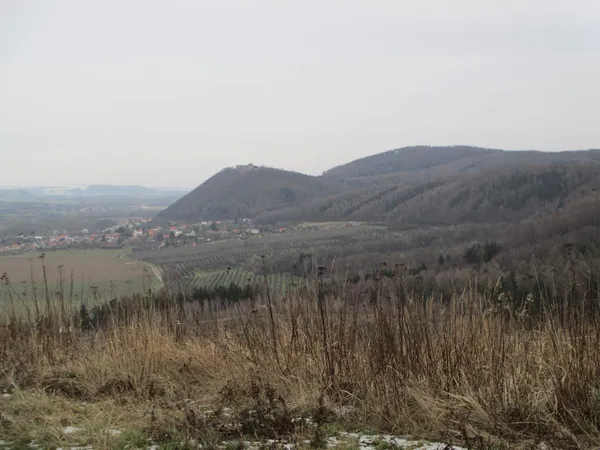 Foto 19