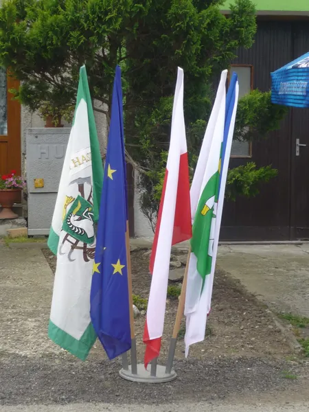 Foto 1