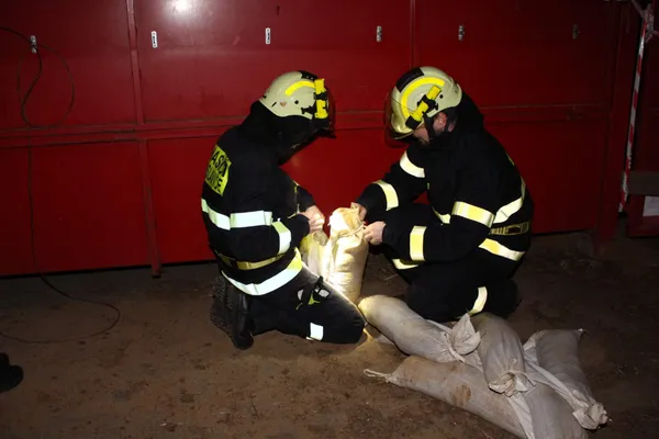Foto 356