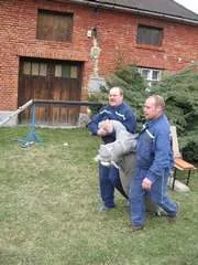 Foto 319