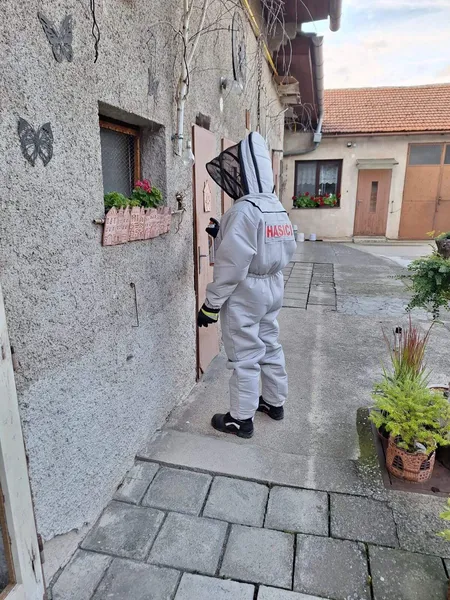 Foto 5