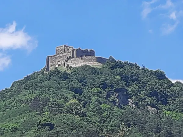 Foto 19
